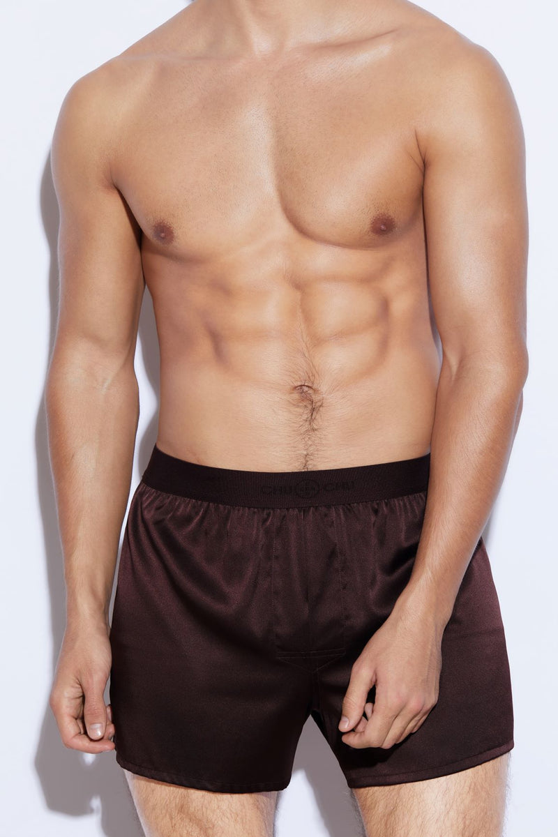 Men's Silk Boxer Shorts in Brown – CHUOCHU